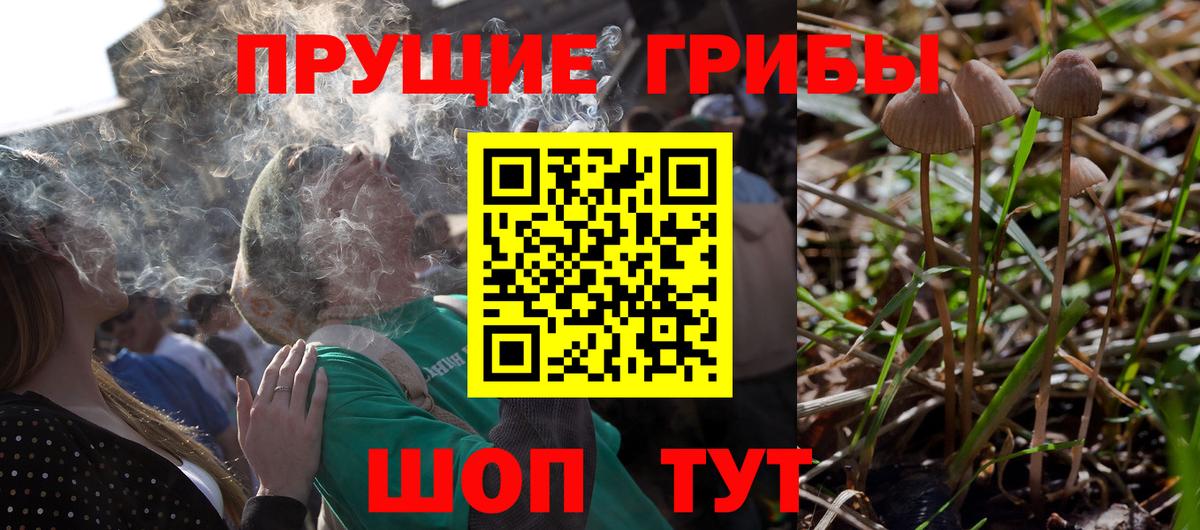 Галлюциногенные грибы ЛСД  Псилоцибиновые грибы ЛСД  Северобайкальск  Вход с VPN 