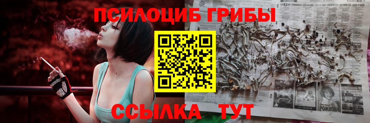 Псилоцибиновые грибы Magic Shrooms Северобайкальск